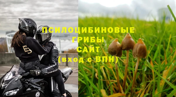 ПСИЛОЦИБИНОВЫЕ ГРИБЫ Арсеньев