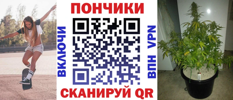 Бошки Шишки OG Kush  гидра маркетплейс  Аркадак 